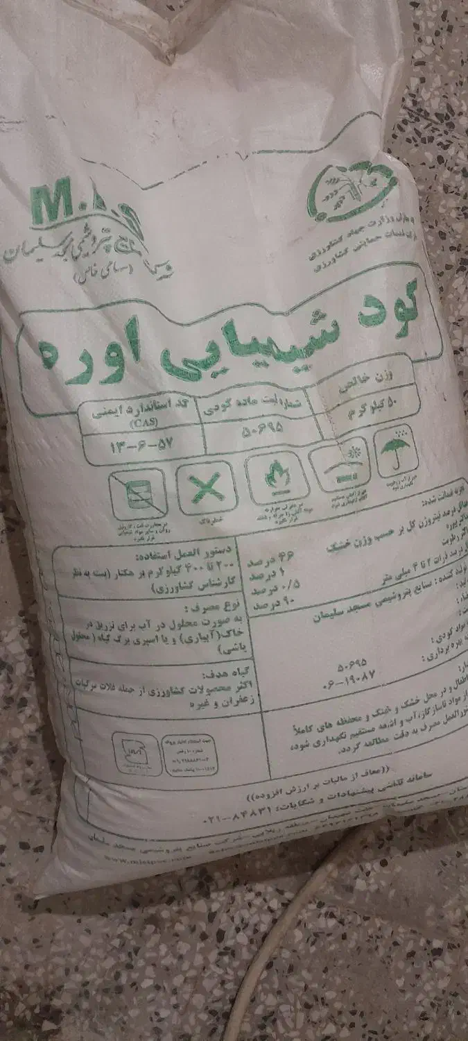 کوت سفیده دانه ریز|گل و گیاه طبیعی|اندیمشک, |دیوار