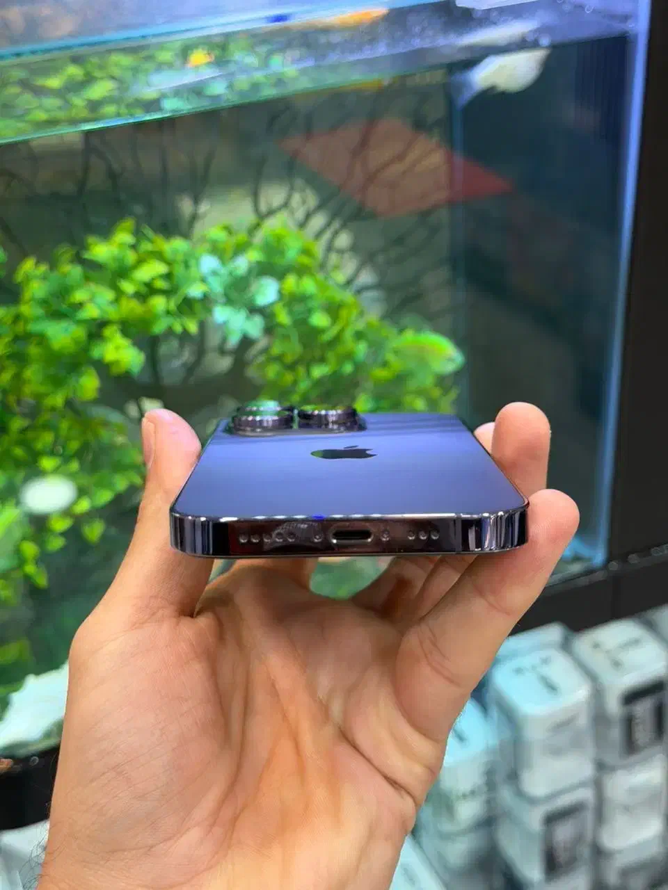 iphone 14pro|موبایل|شیراز, زند|دیوار