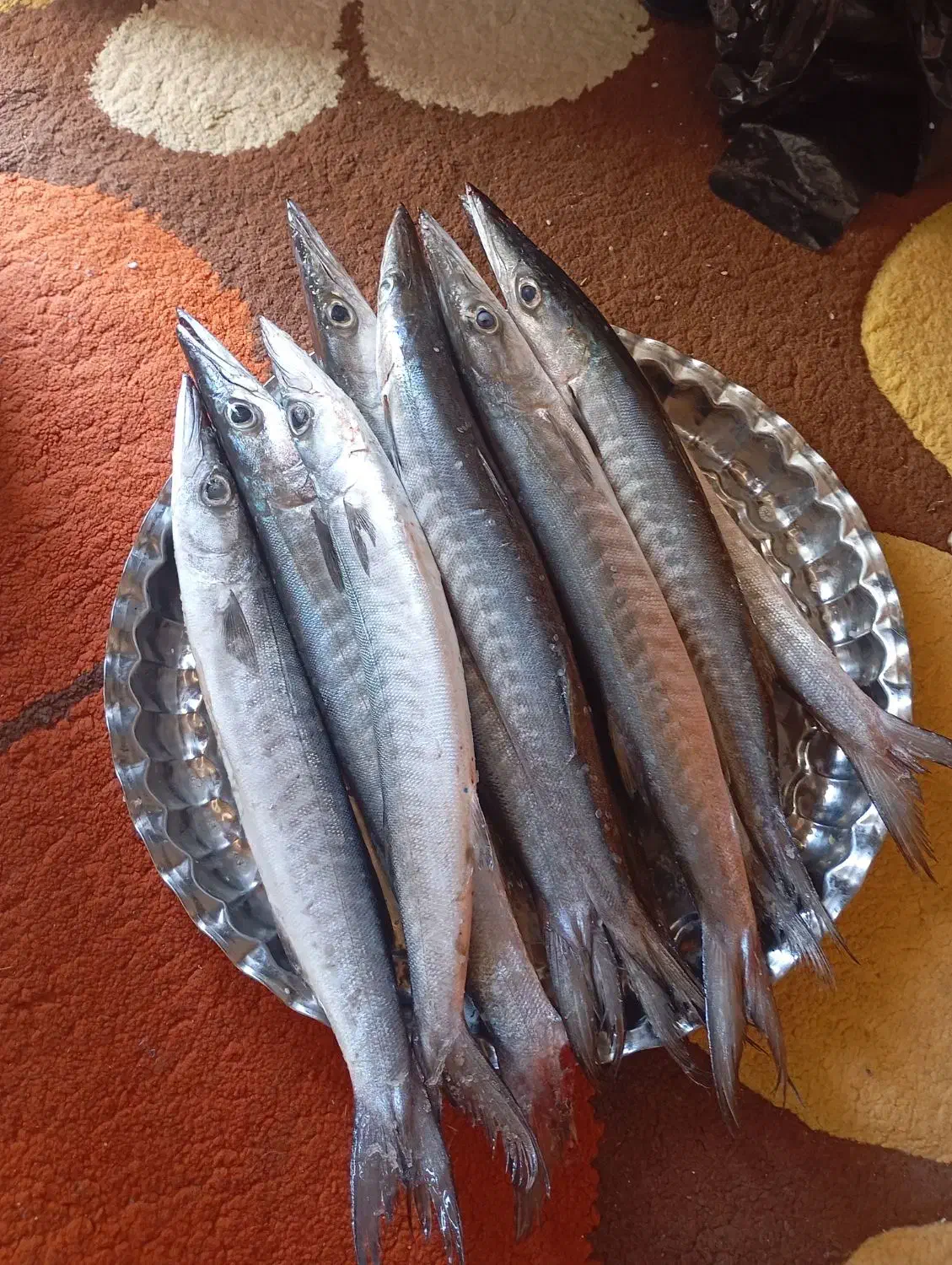 ماهی|ماهی|بندر کنگان, |دیوار