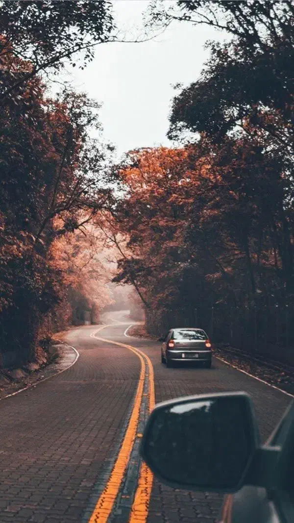 سواری دربستی پژو پارس|خدمات حمل و نقل|لار, |دیوار