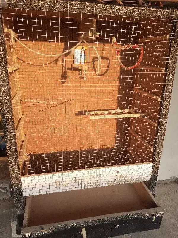 قفس|لوازم جانبی حیوانات|آبپخش, |دیوار