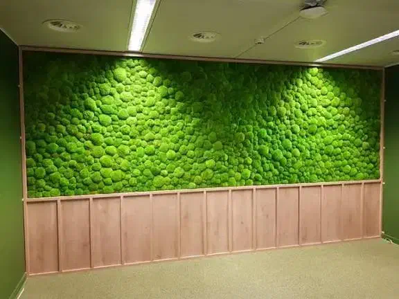 طراحی و اجرای ماس وال دیوار خزه‌ای|گل و گیاه طبیعی|کرج, حصارک بالا|دیوار