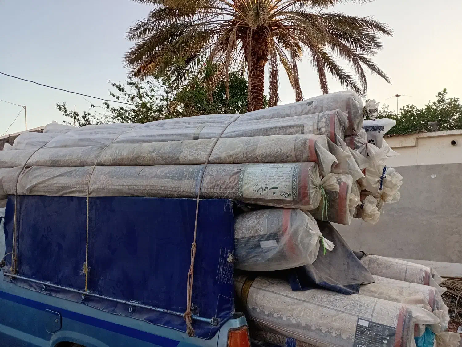 طرح تعویض درمحل فرش های نو با دست دوم|فرش|جیرفت, |دیوار