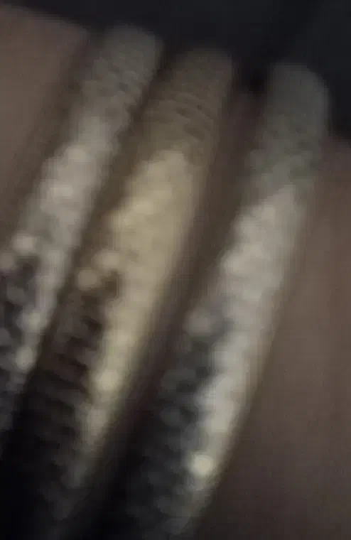 طلا|جواهرات|تربت جام, یحیی آباد|دیوار