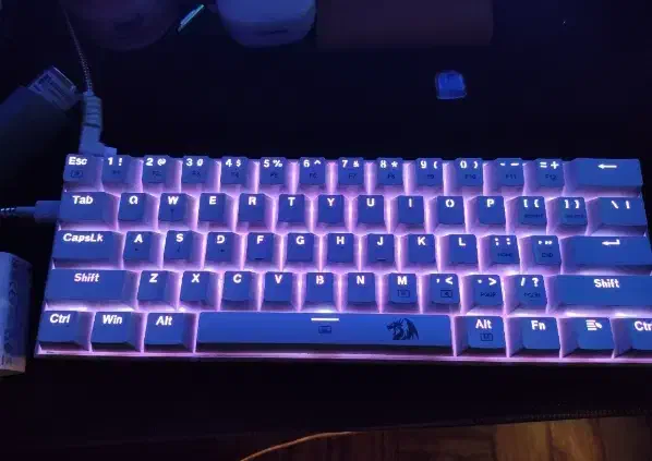 دوستان ما یک کیبورد میکانیکال داریم|قطعات و لوازم جانبی رایانه|قم, حنیف نژاد|دیوار