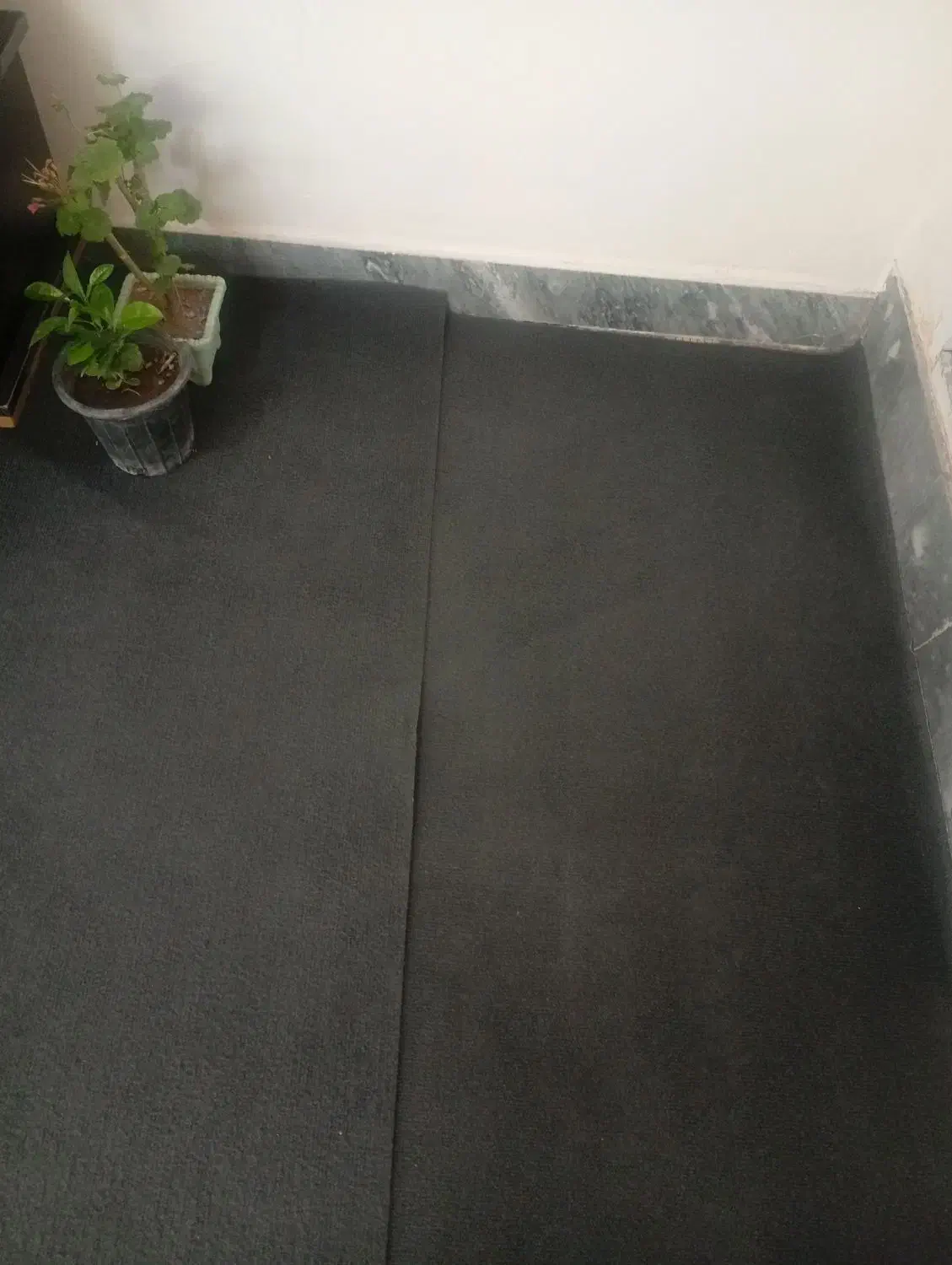 موکت|موکت|تبریز, |دیوار