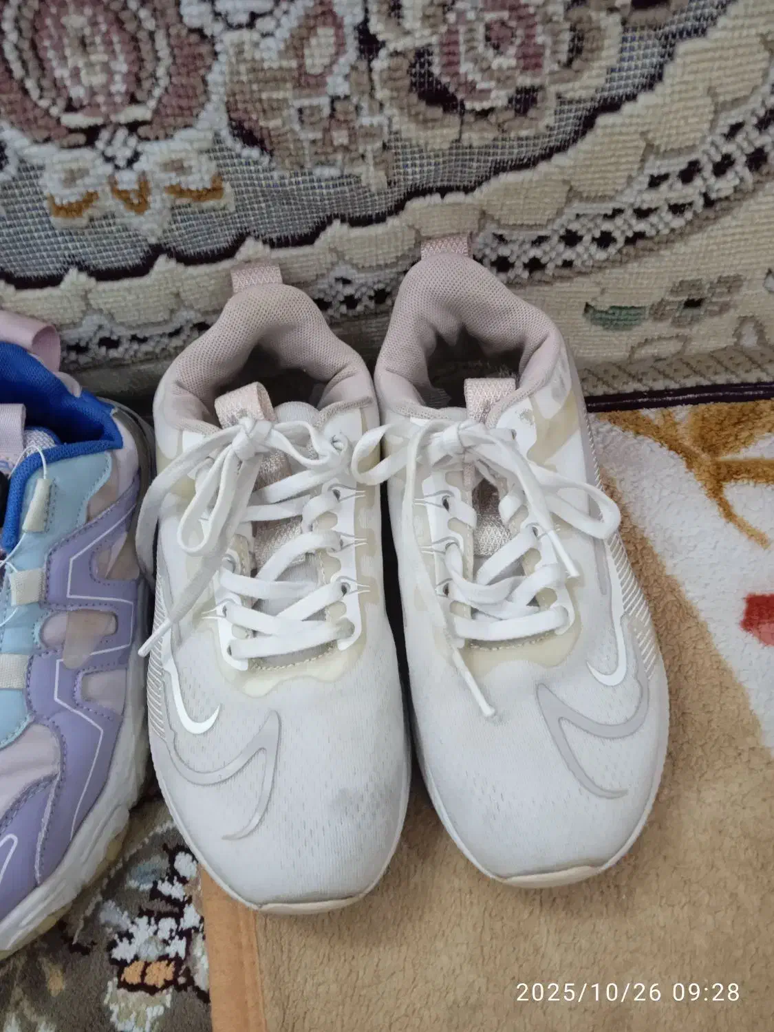 کتانی|کیف، کفش، کمربند|قم, ولیعصر|دیوار