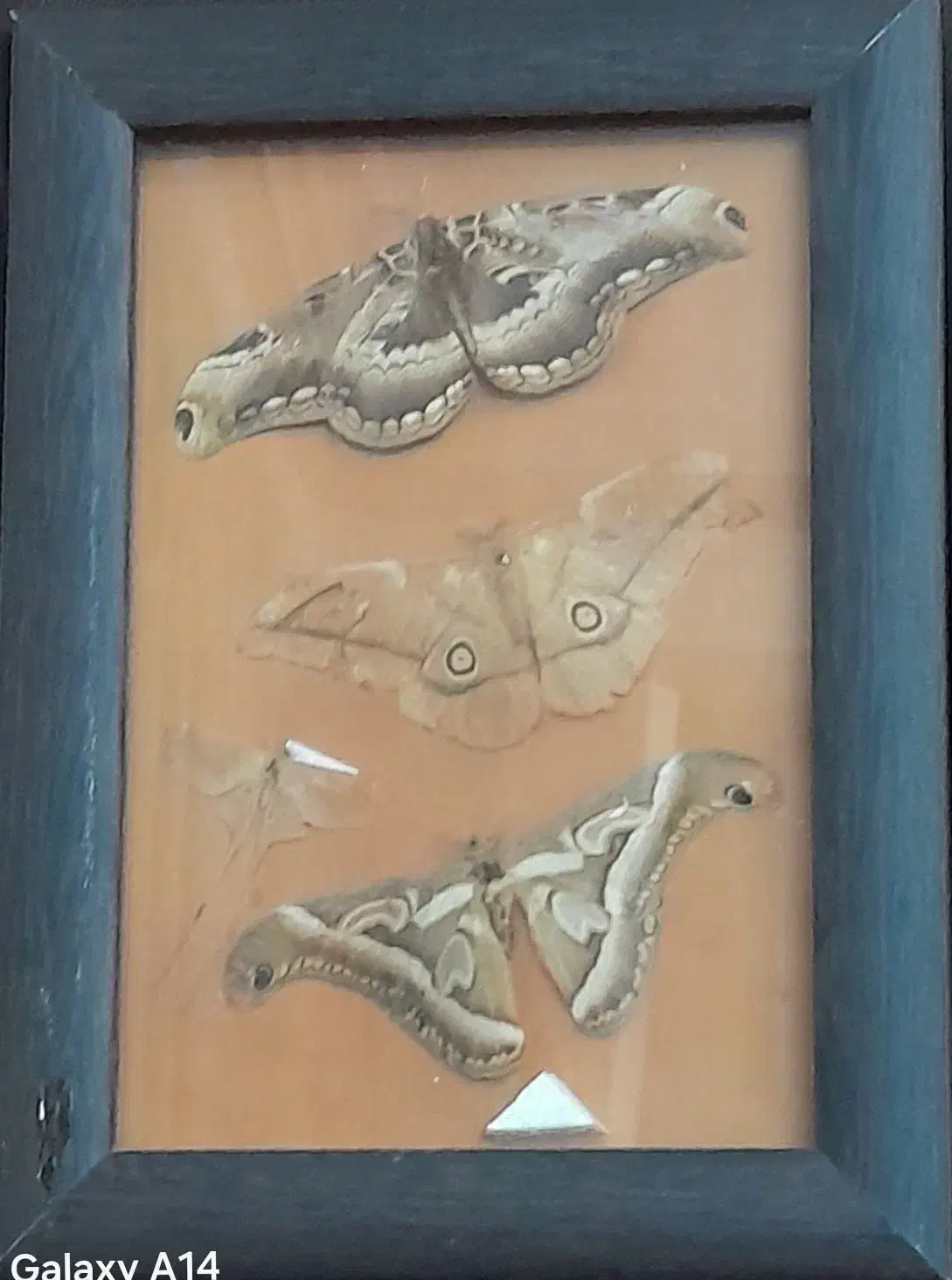 تابلو|تابلو، نقاشی، عکس|رشت, کوی غلام نیا|دیوار