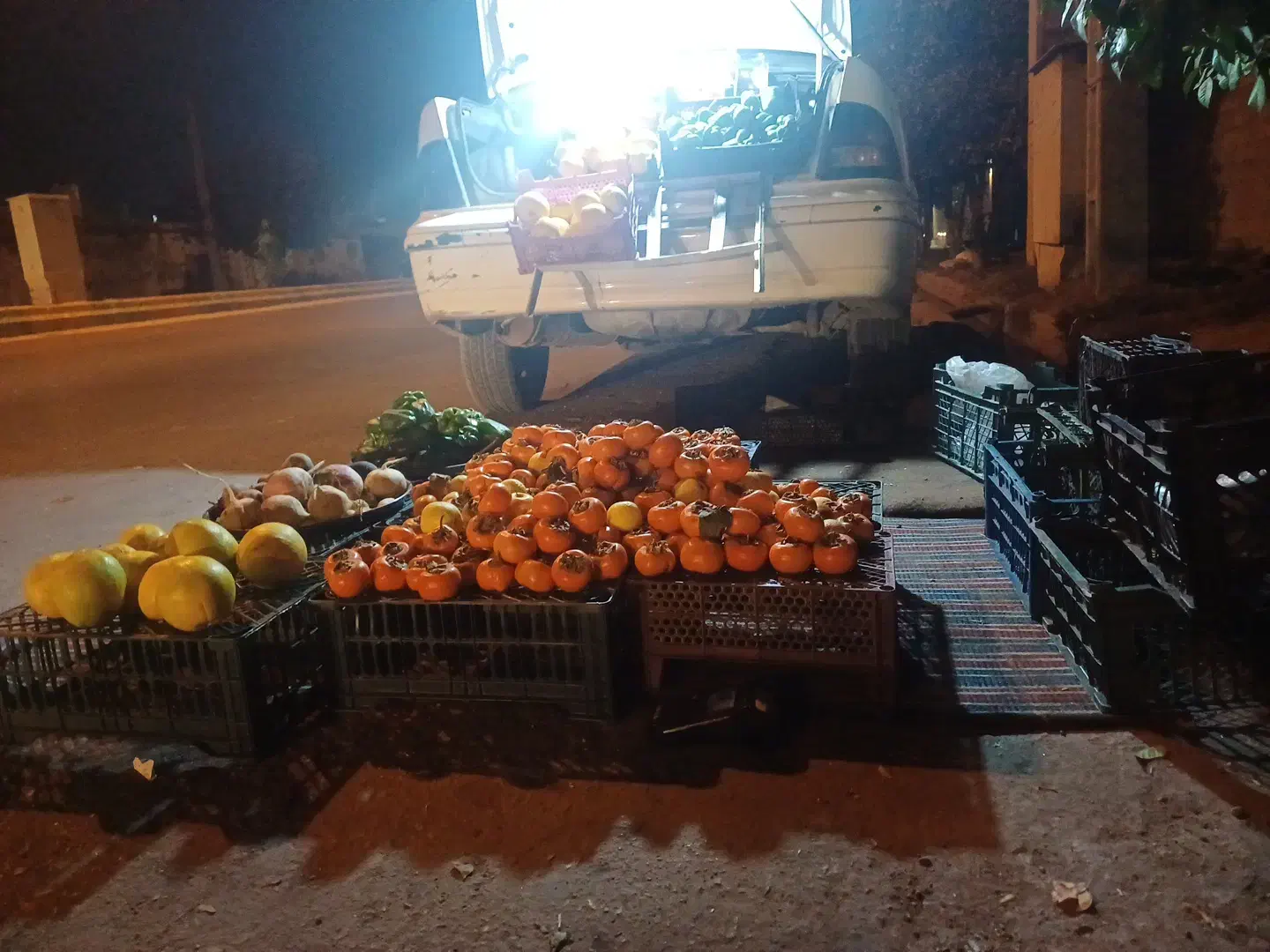 حراج میوه|عمدهفروشی|بندر گناوه, |دیوار