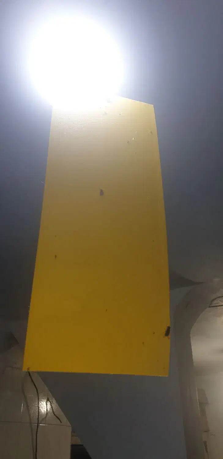 چسب حشرات|لوازم نظافت|اهواز, نادری|دیوار