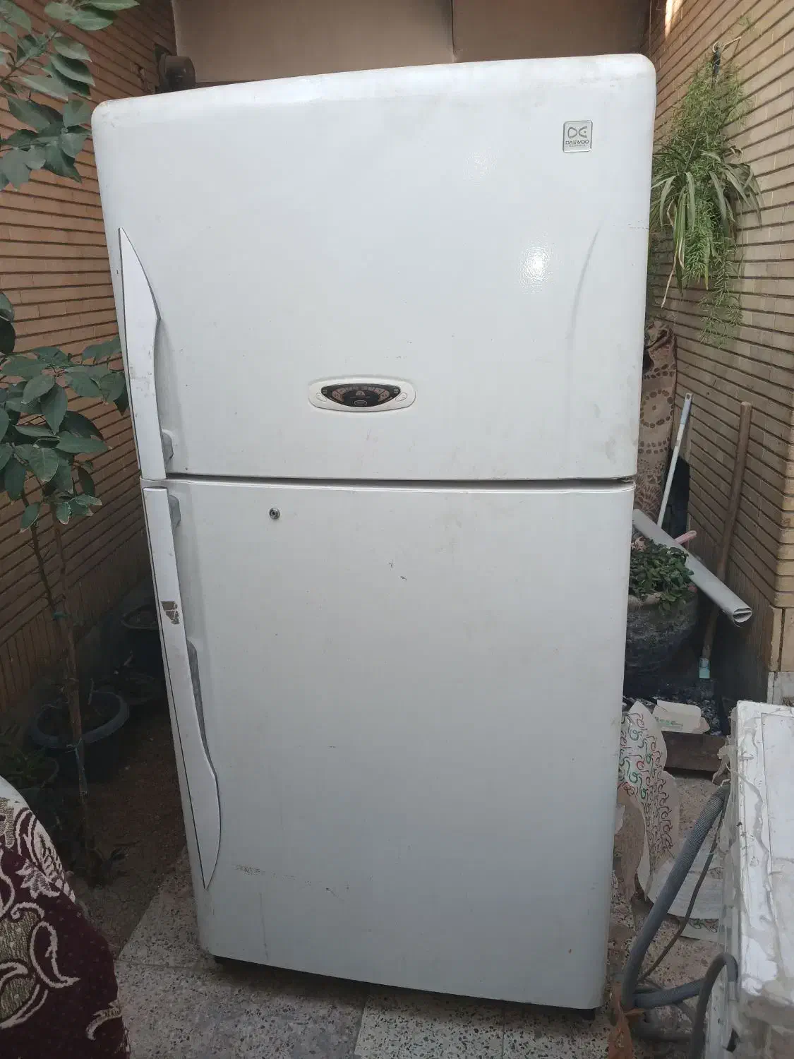 یخچال دوو|یخچال و فریزر|اصفهان, سرشبادران|دیوار