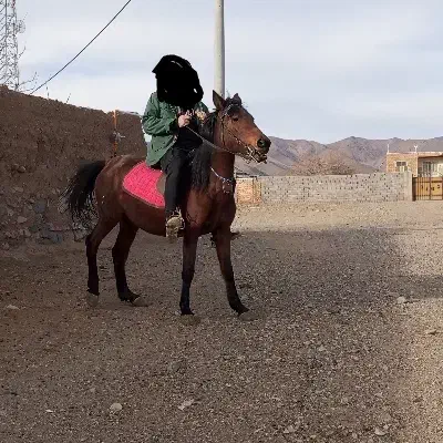 مادیان کهر|اسب و تجهیزات اسبسواری|ساوه, |دیوار