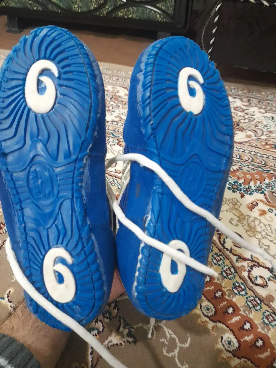 کفش کشتی|تجهیزات ورزشی|قم, ولیعصر|دیوار