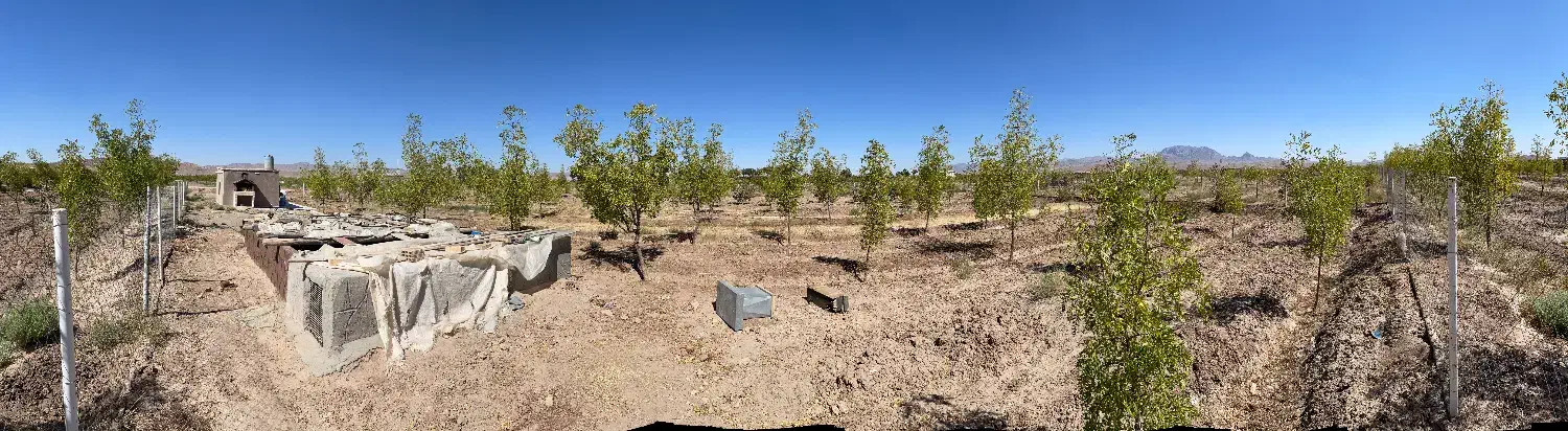 باغ ۲۰۰۰ متری تقاب فخراباد با آب|فروش خانه و ویلا|خوسف, |دیوار