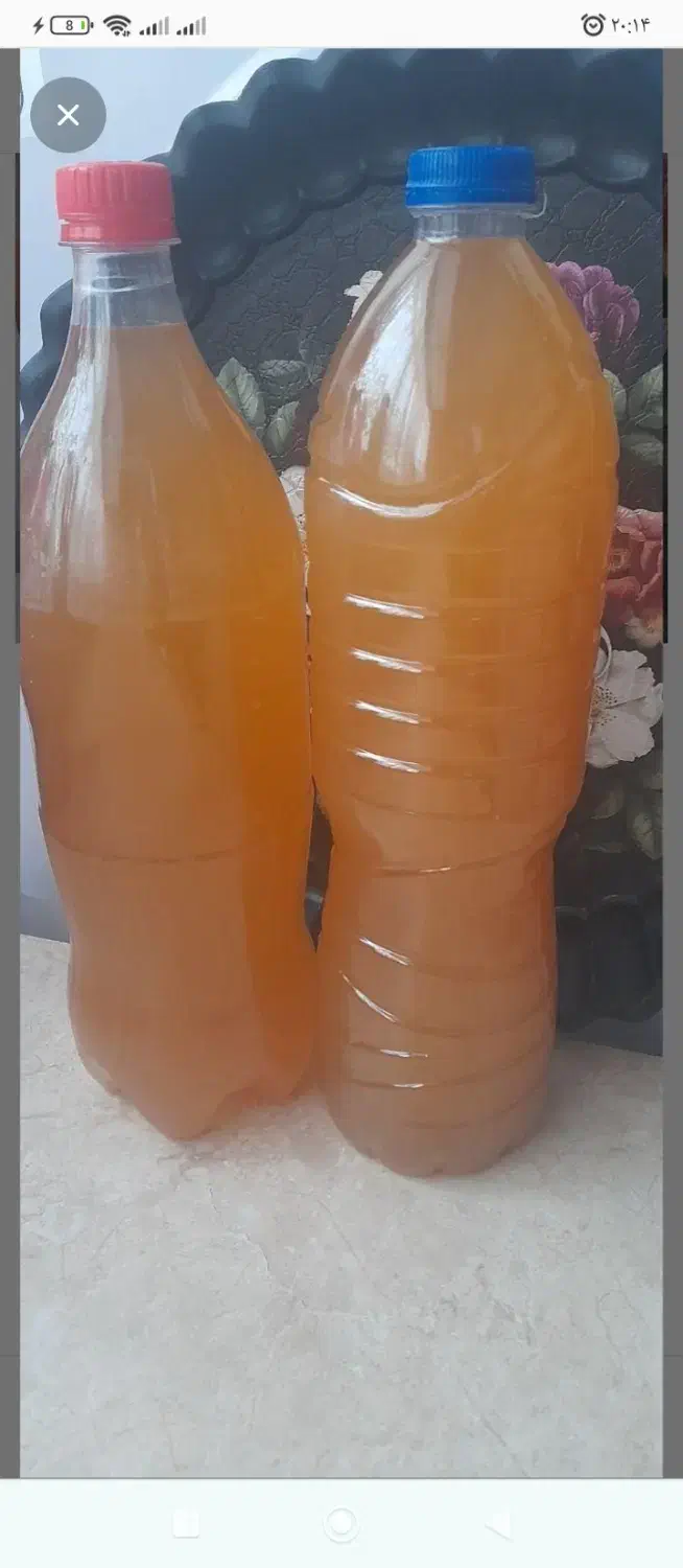 سرکه سیب|خوردنی و آشامیدنی|اسکو, |دیوار