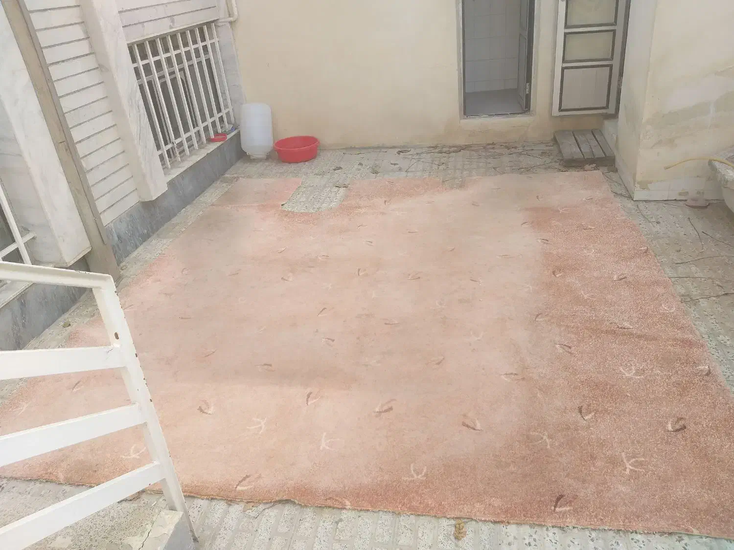 موکت|موکت|ارومیه, |دیوار