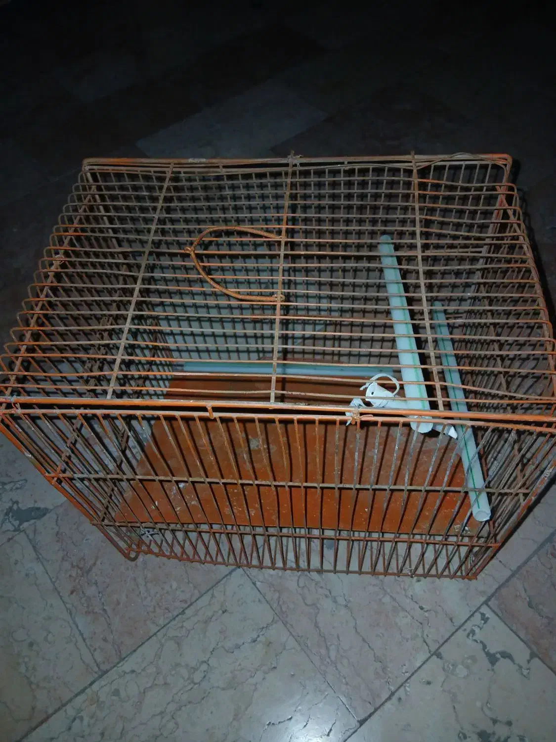 دانه پرنده|لوازم جانبی حیوانات|محمدشهر, ولدآباد|دیوار