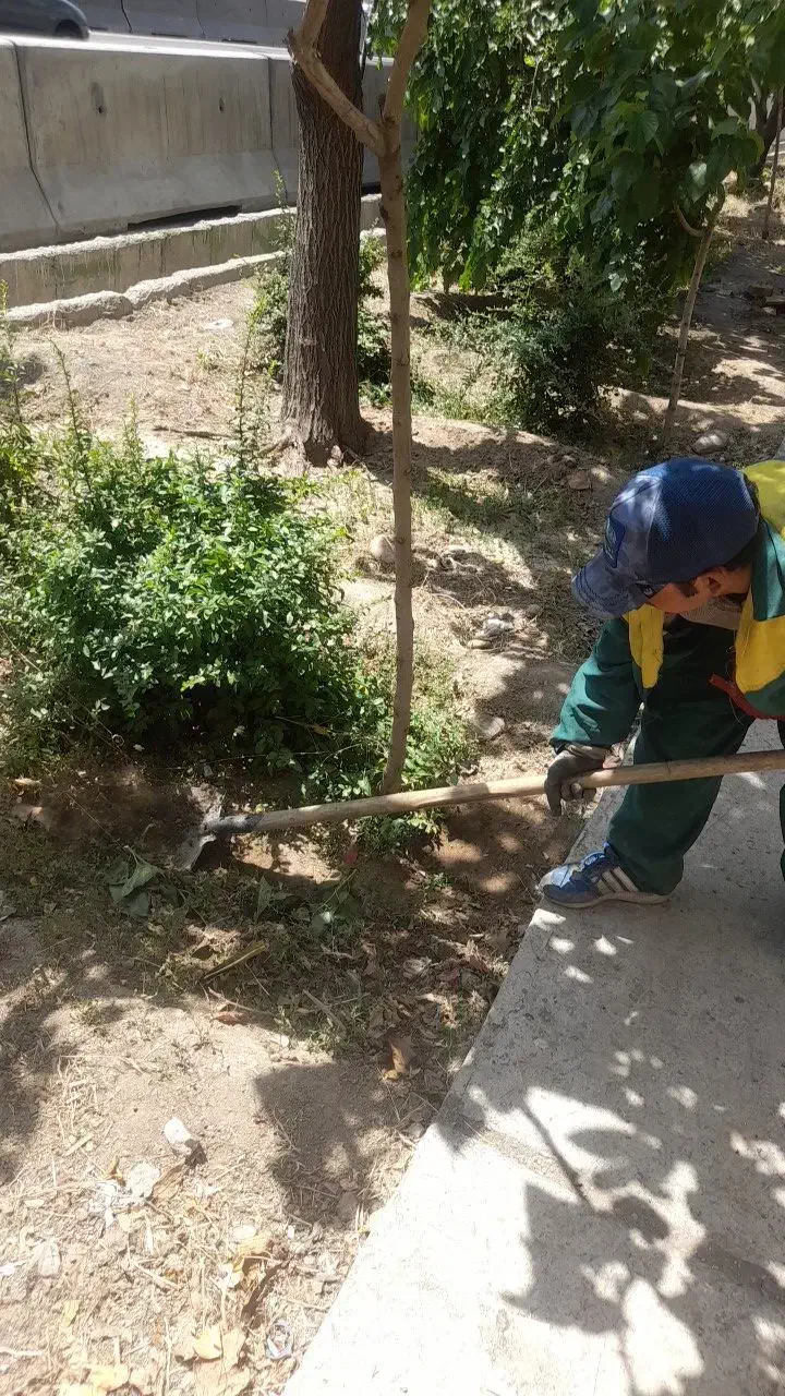 باغ بانی و تامین نگهداری|خدمات باغبانی و درختکاری|تهران, سبلان (لشگر)|دیوار