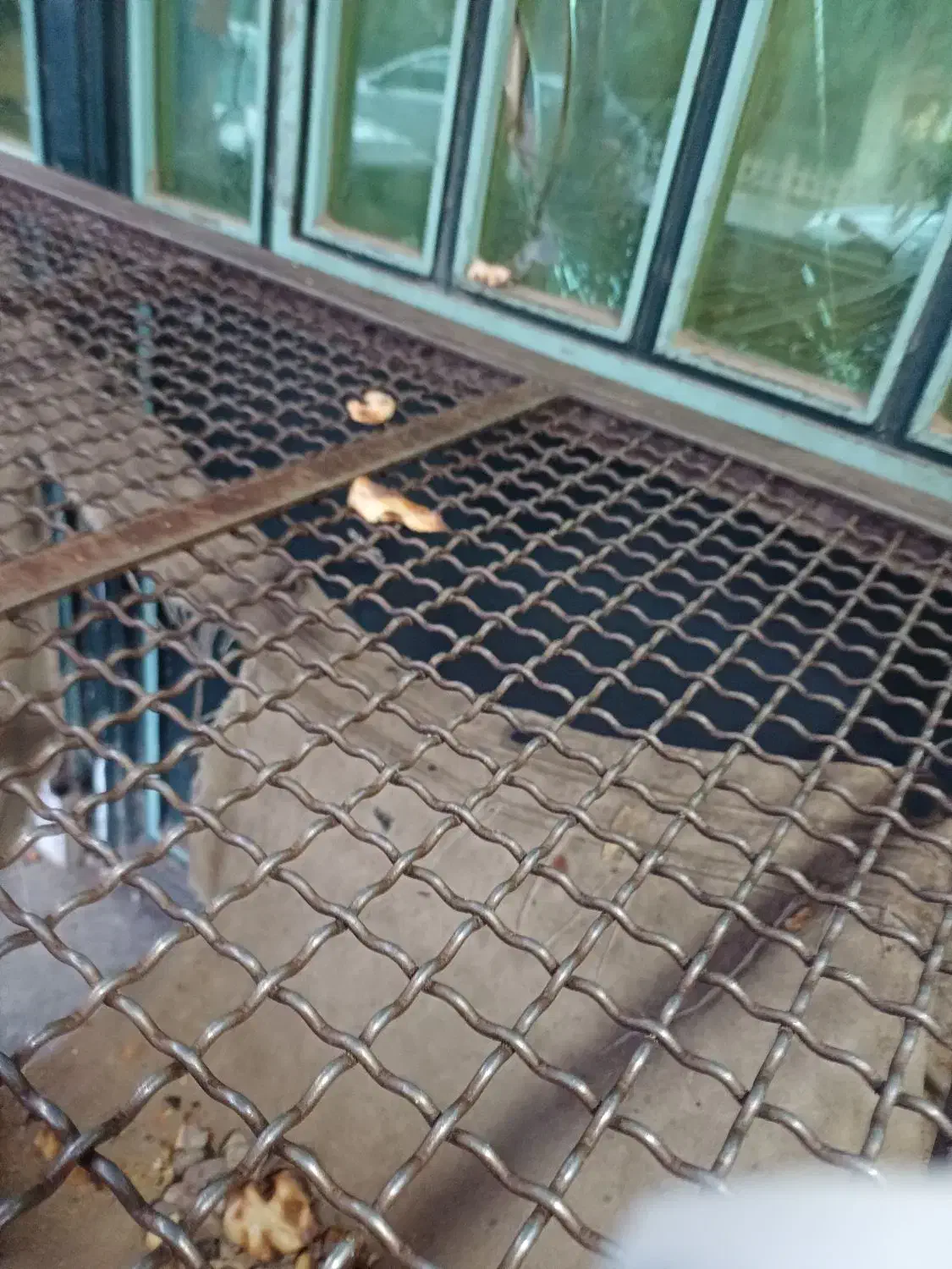 سالن ۱۷۰ متری|اجارهٔ دفتر صنعتی، کشاورزی، تجاری|قم, قلعه صدری|دیوار