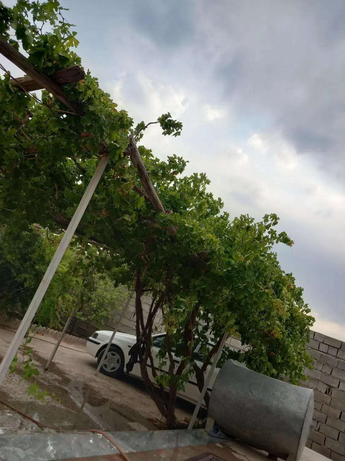 خونه باغ جوپار عباس آباد بعد از کارخانه روغن نباتی|فروش خانه و ویلا|ماهان, |دیوار