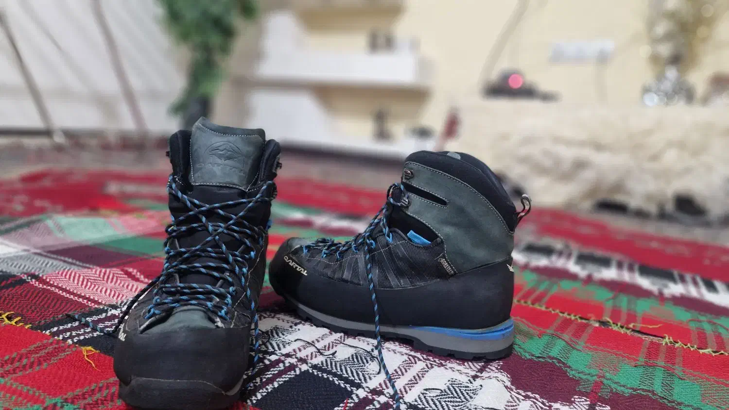 کفش کوهنوردی قارتال|کوهنوردی و کمپینگ|سیرجان, |دیوار