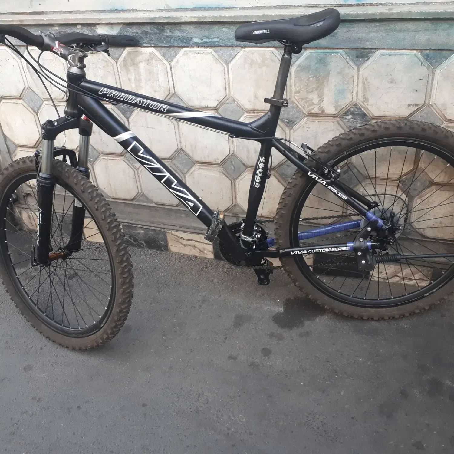 دوچرخه ویوا اصل تمیز تازه سرویس شدهدوچ|دوچرخه، اسکیت، اسکوتر|تبریز, |دیوار