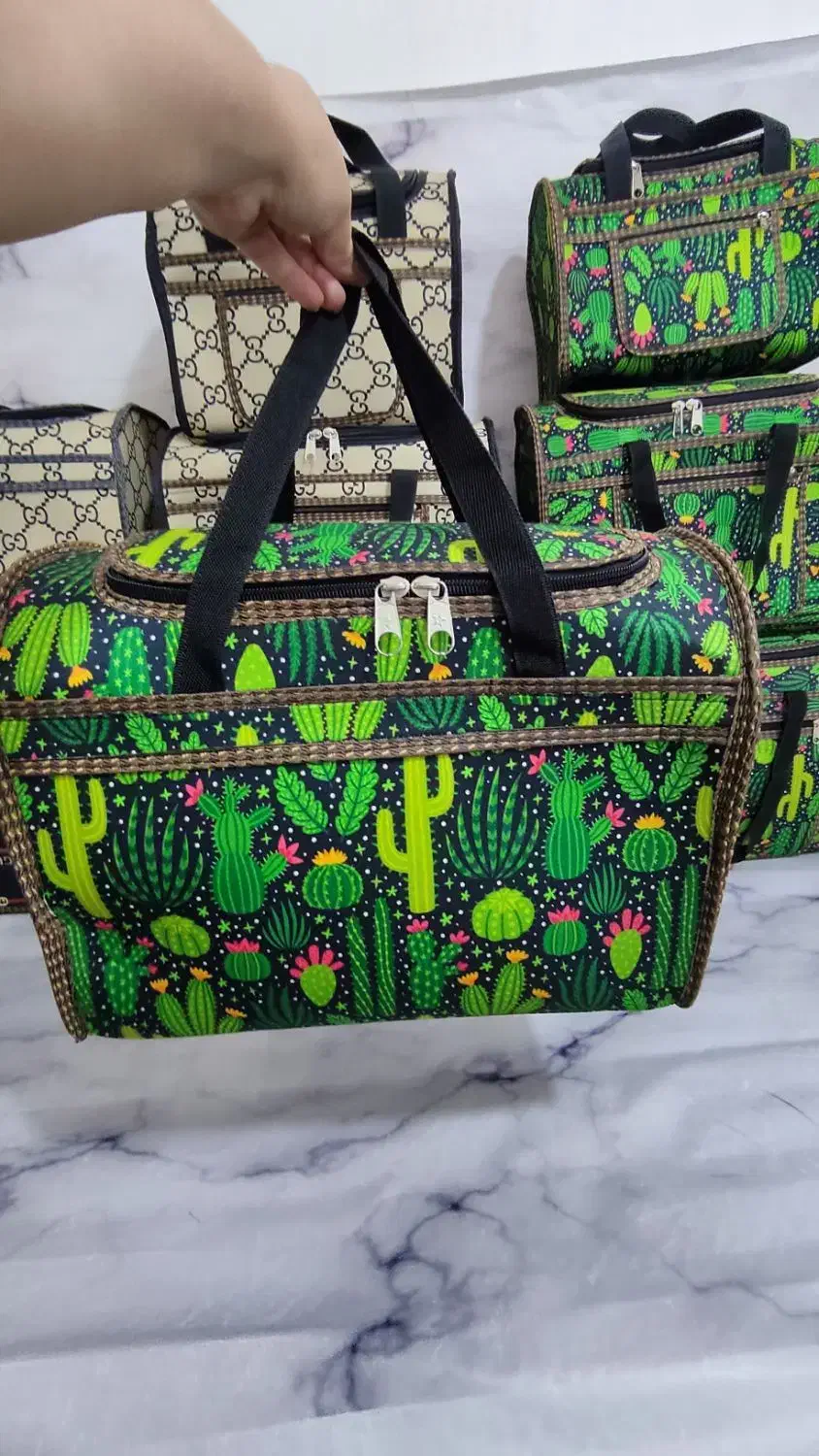 ساک مسافرتی|کیف، کفش، کمربند|هشتگرد, خور|دیوار