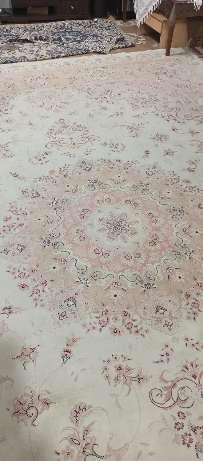 فرش ۱۲متری کرم گل بهی ضخیم وجان دار|فرش|طاهرگوراب, |دیوار