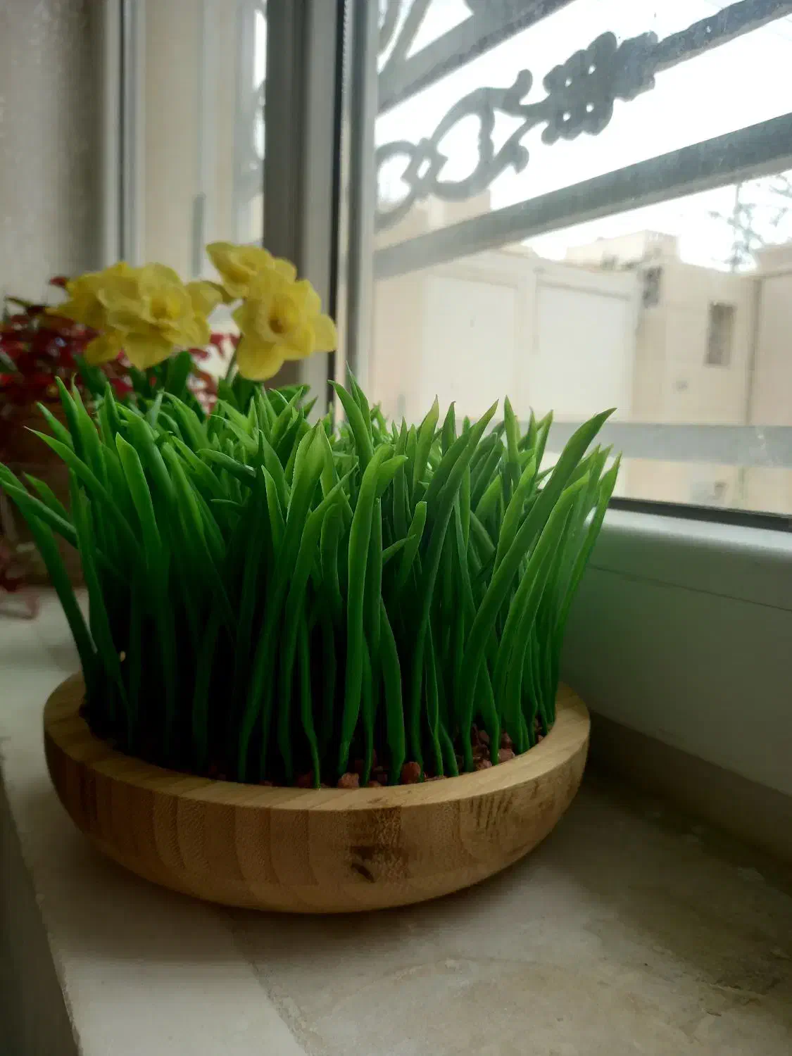 سنبل و سبزه مصنوعی|گل مصنوعی|بوشهر, |دیوار