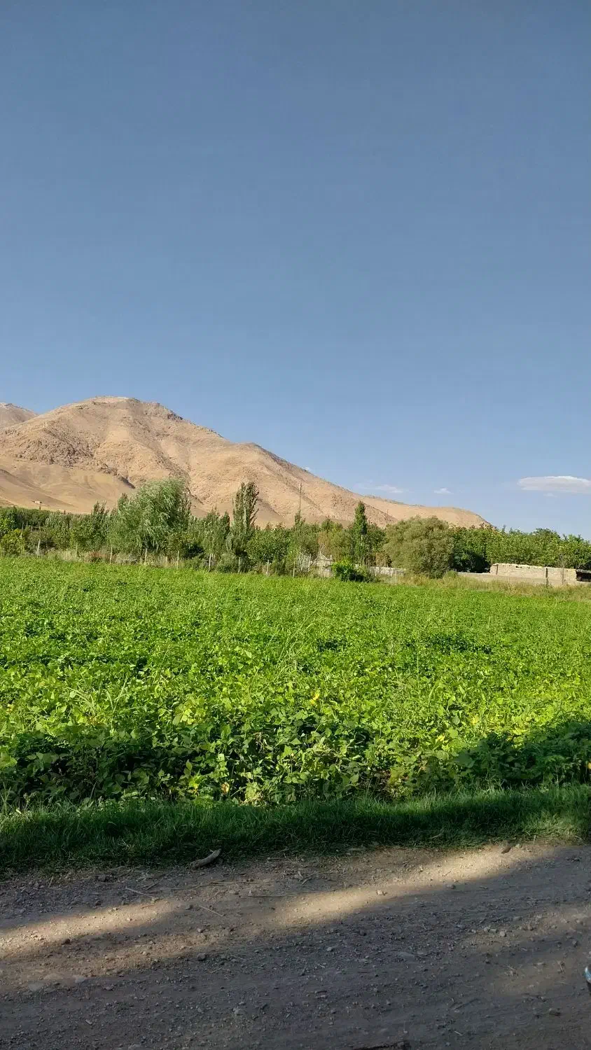 مغازه اجاره ای روبروی پارک ملت- ایستگاه تاکسی اراک|اجارهٔ مغازه و غرفه|ازنا, |دیوار