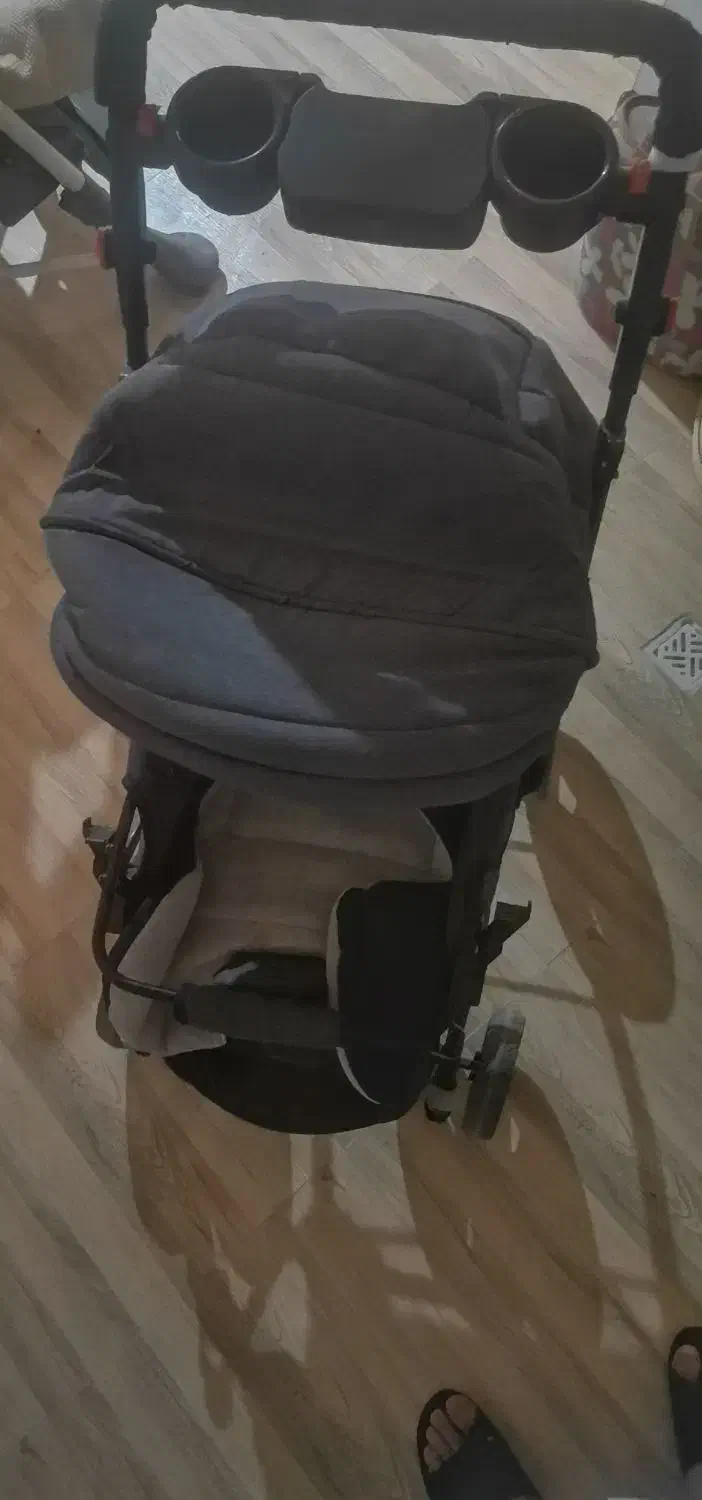 کالسکه|کالسکه و لوازم جانبی|مراغه, |دیوار