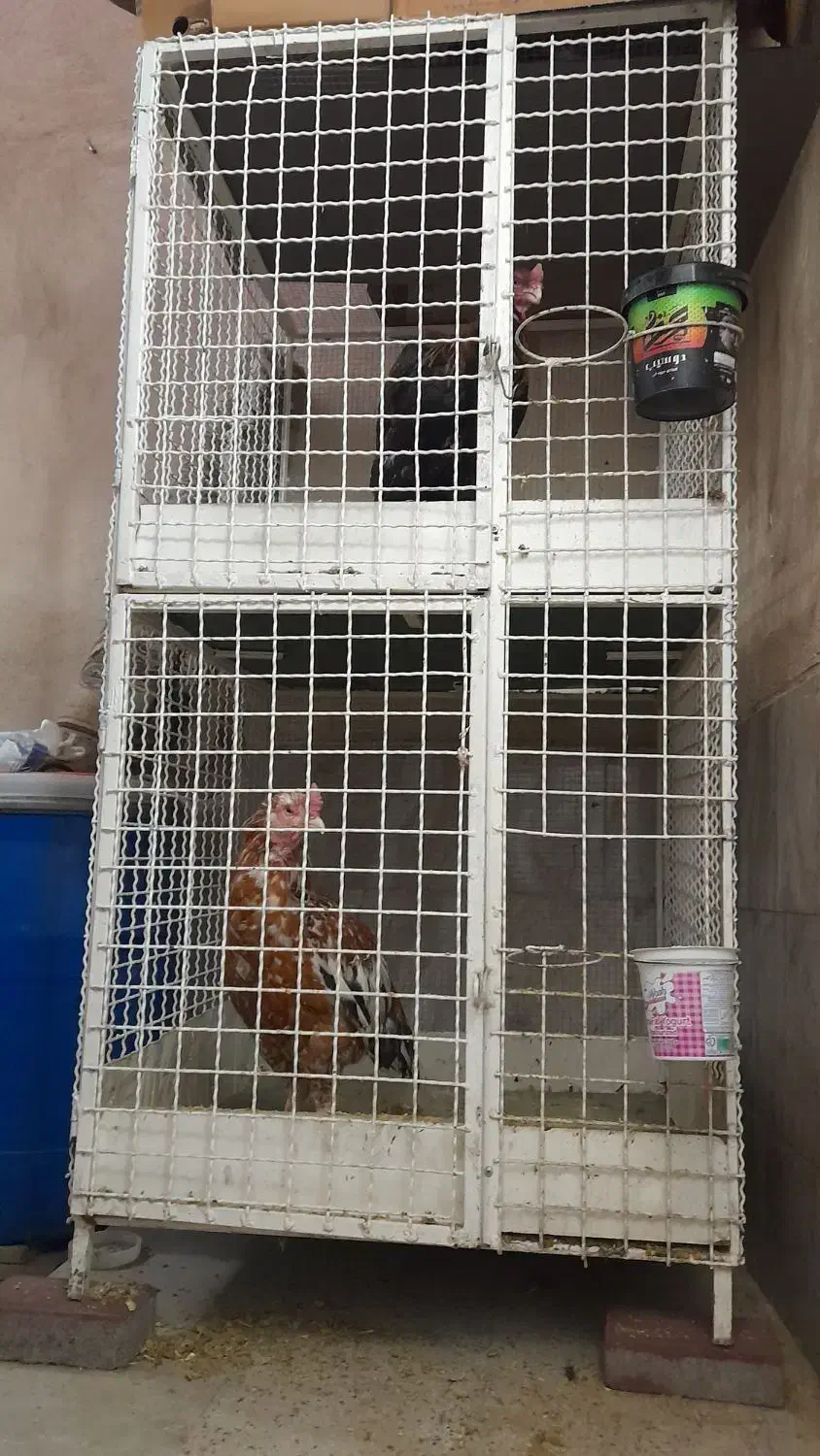 قفس مرغ و خروس ۲ طبقه  ۳/۵۵۰/۰۰۰|لوازم جانبی حیوانات|ورامین, شهرک ولیعصر|دیوار