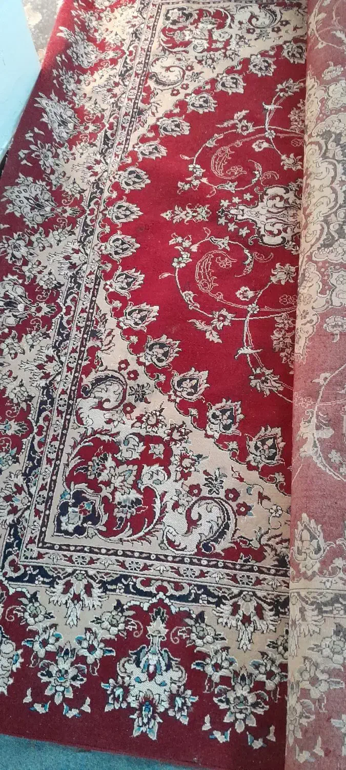 قالی ۱۲متری|فرش|شوشتر, |دیوار