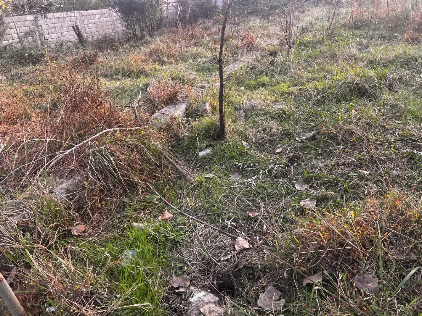 زمین مسکونی ۳۰۰متری  سند تک برگ  شهرک بام سبز|فروش زمین و ملک کلنگی|رضوانشهر, |دیوار