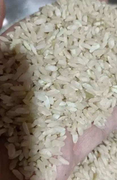 برنج چمپا|خوردنی و آشامیدنی|چیتاب, |دیوار