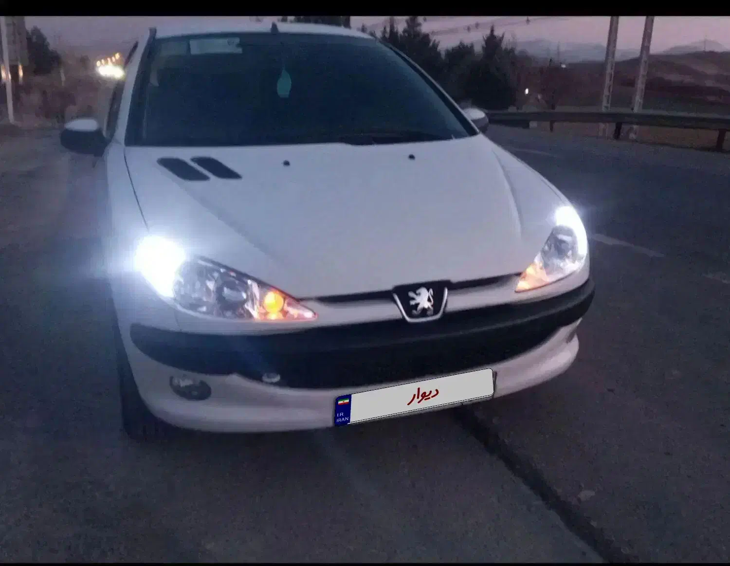 206SD|خودرو سواری و وانت|صحنه, |دیوار