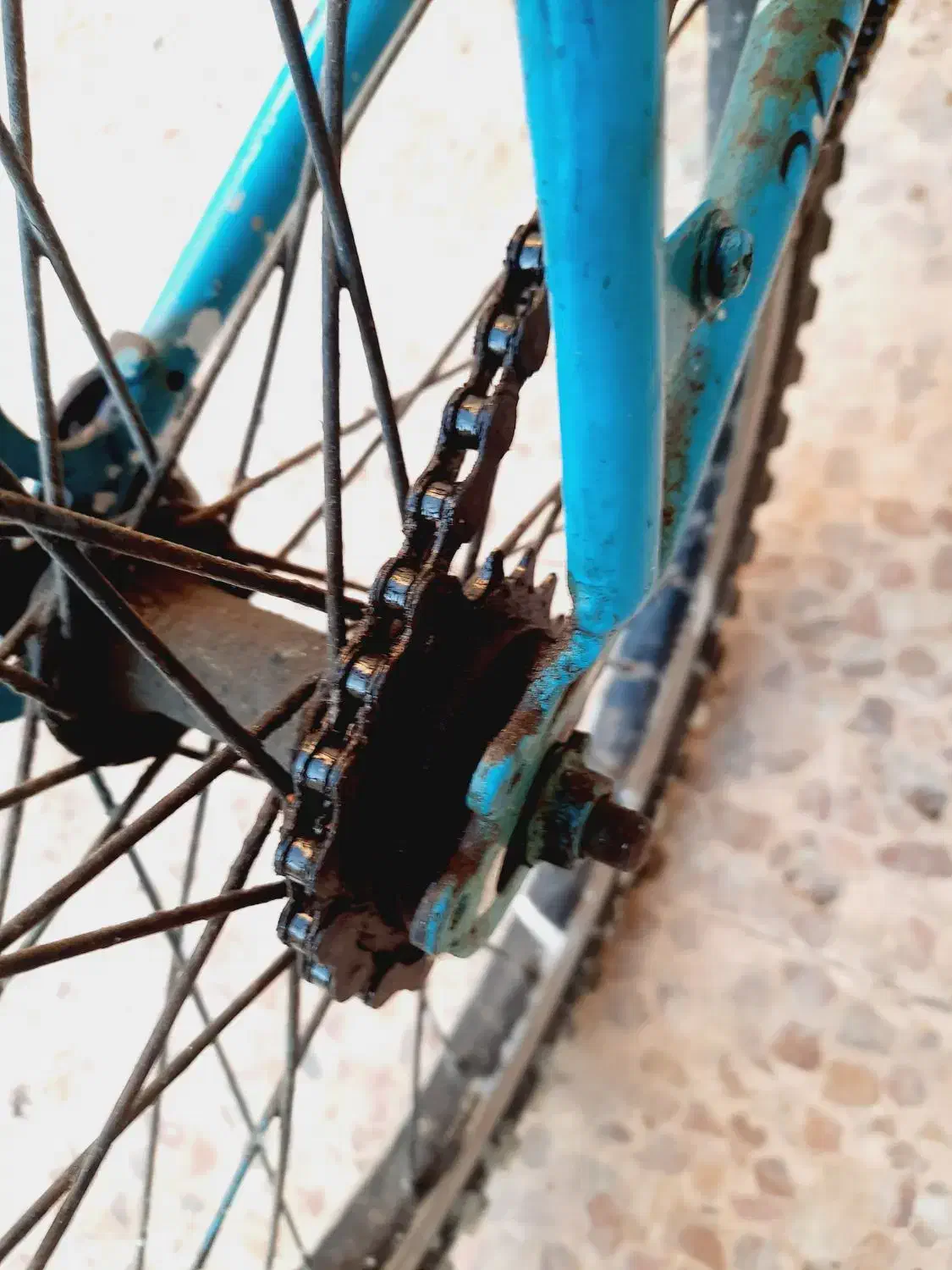 دوچرخه ۲۴|دوچرخه، اسکیت، اسکوتر|بندر ماهشهر, |دیوار