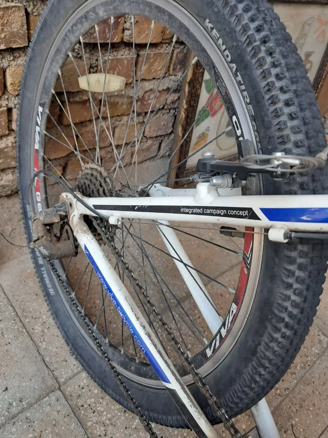 دو چرخه ویوا ۲۴ دنده سایز ۲۶ سالم|دوچرخه، اسکیت، اسکوتر|تربت جام, شهرک معلم|دیوار