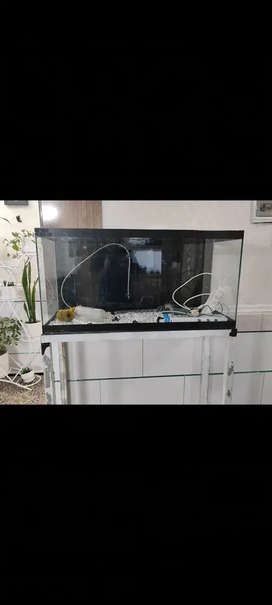 آکواریوم بزرگ با تمامی وسایل|ماهی|بم, |دیوار