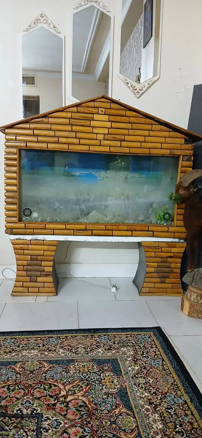 آکواریوم سالم با وسایل|ماهی|فردیس, شهرک ۱۱۰|دیوار