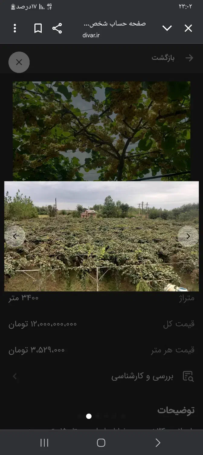 باغ کیوی سند تک برگ|فروش زمین و ملک کلنگی|تالش, هشتپر|دیوار