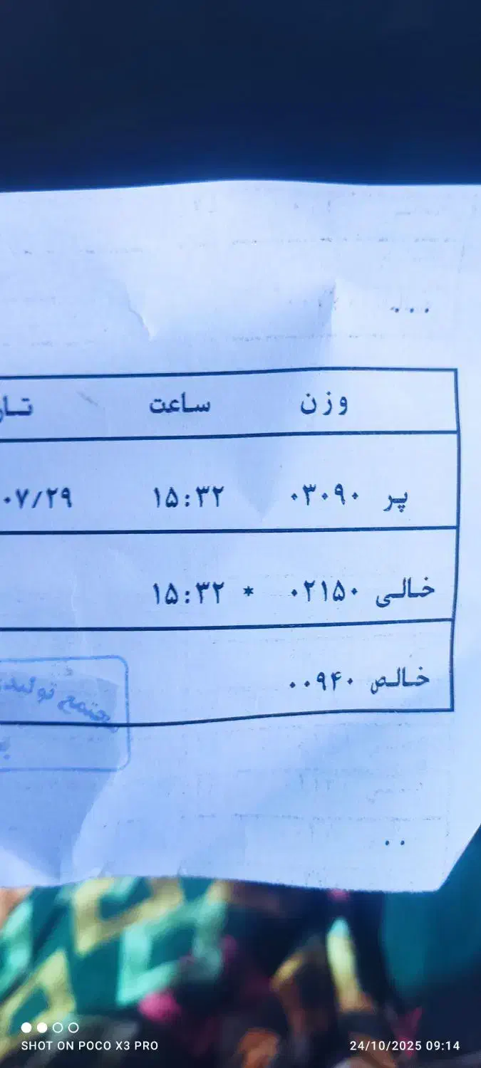 تمیزکردن باغ و بریدن چوب و هرس کاری|خدمات باغبانی و درختکاری|یزد, |دیوار
