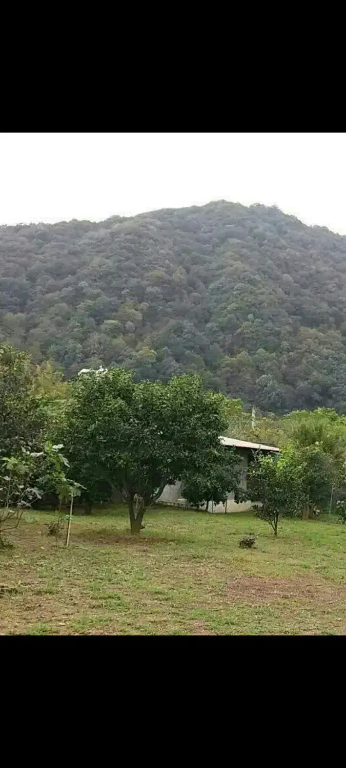 مشارکت درساخت|مشارکت در ساخت املاک|رامسر, |دیوار