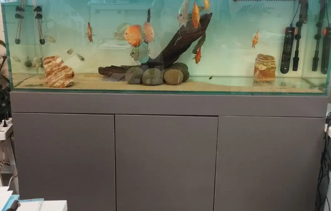 آکواریوم APA و فیلتر سطلی دیسکس|ماهی|شیراز, آبیاری|دیوار