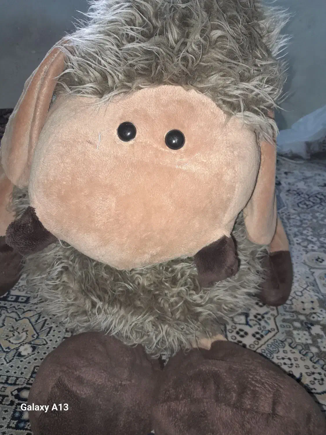 عروسک بزرگ|اسباببازی بچه|گرگان, |دیوار