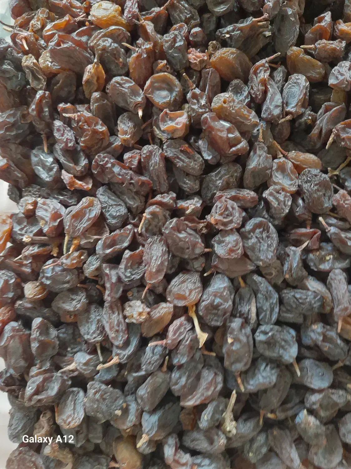 فروش  کشمش بناواتی درشت وگوشتی|خوردنی و آشامیدنی|تاکستان, |دیوار