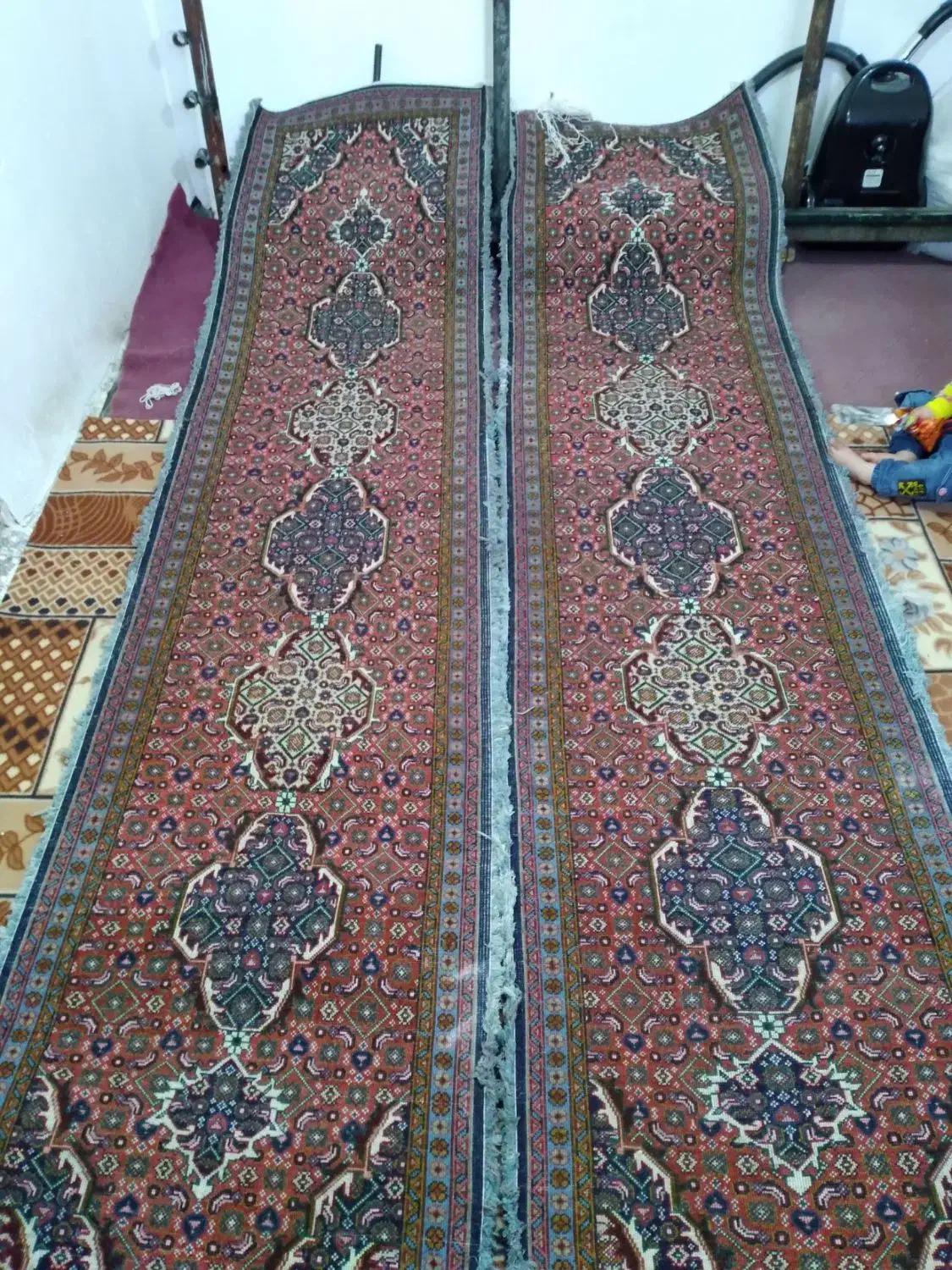 فرش دست بافت ریز ماهی خرک|فرش|اردبیل, |دیوار