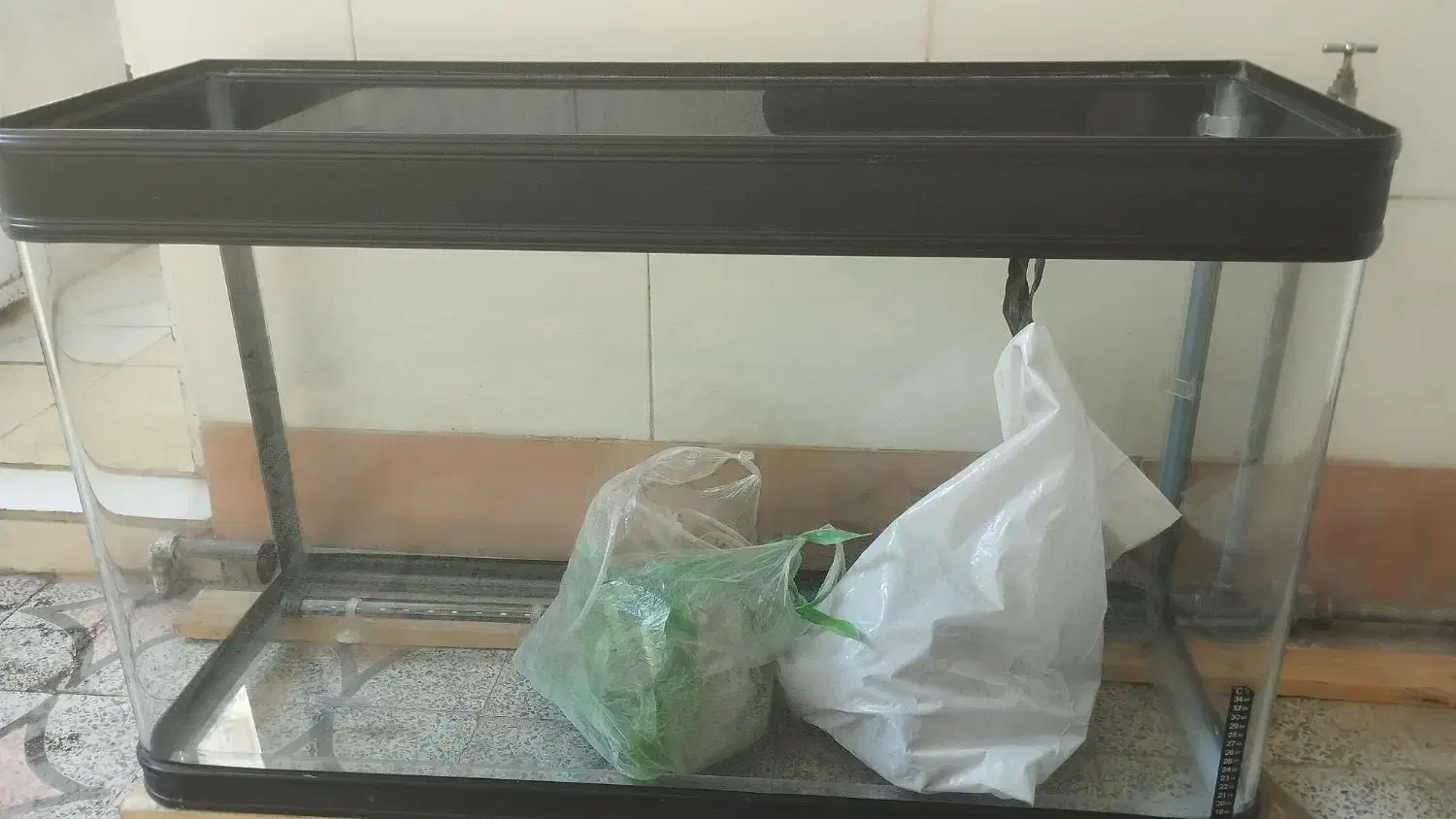 آکواریوم شیشه خم نو نو|ماهی|خرم‌آباد, |دیوار