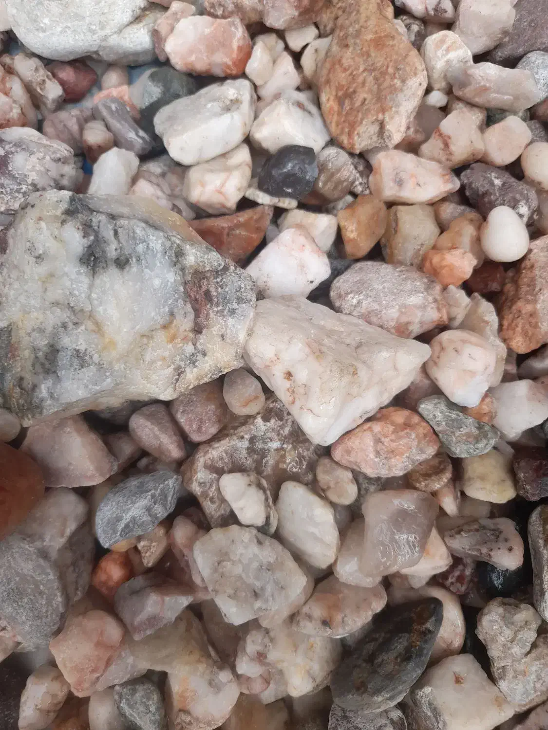 سنگ|گل و گیاه طبیعی|مشهد, هفت تیر (نه دره)|دیوار