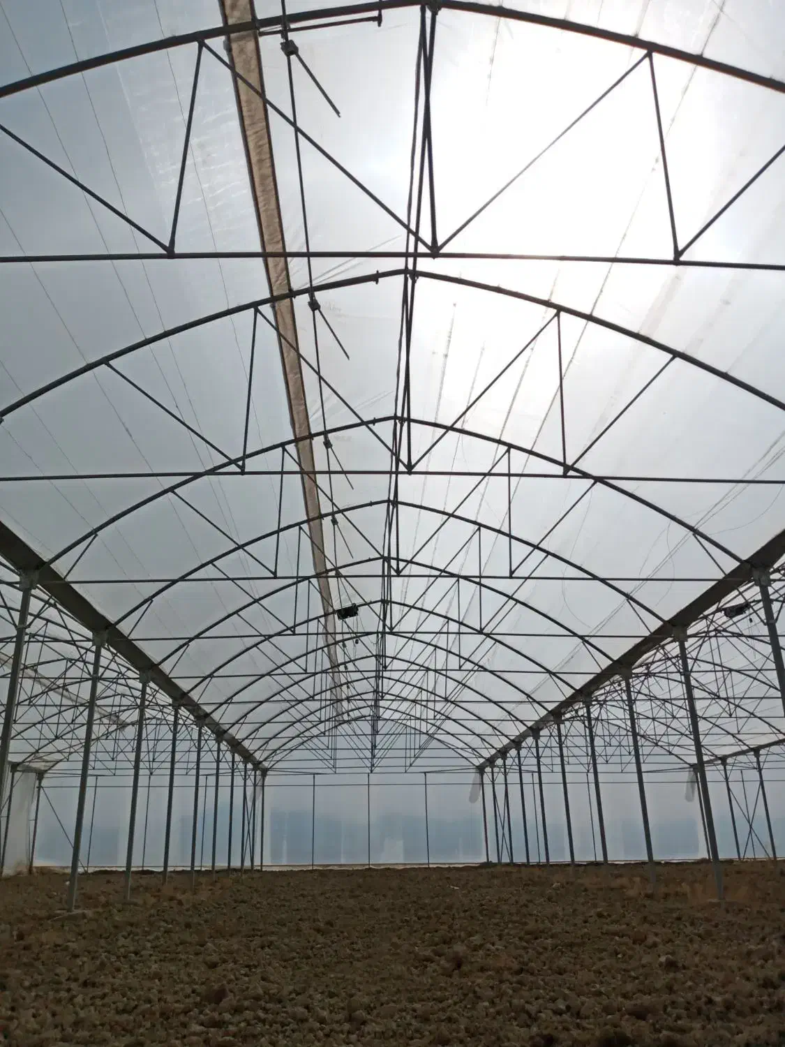 مشاره طراحی اجرا سازه گلخانه|خدمات باغبانی و درختکاری|رشت, کوی مهر|دیوار